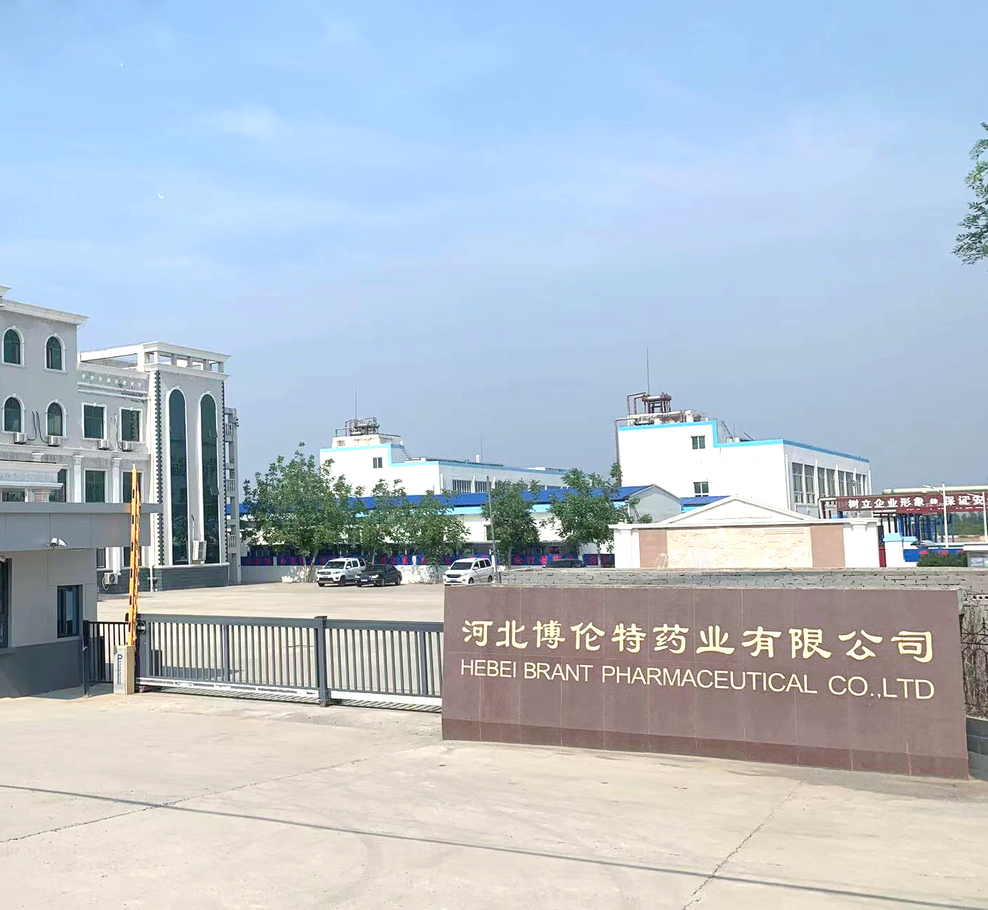 河北博倫特藥業(yè)有限公司
